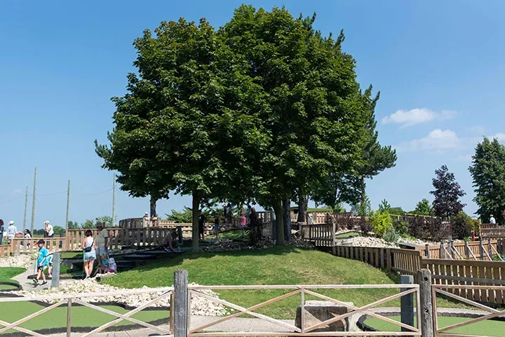 View across the Market Sports mini golf course.